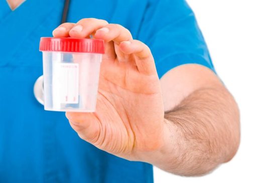 Specimen cup at official DOT drug testing facility Boise, Meridian, Nampa, Garden City, Idaho Falls, Pocatello, Rexburg banner