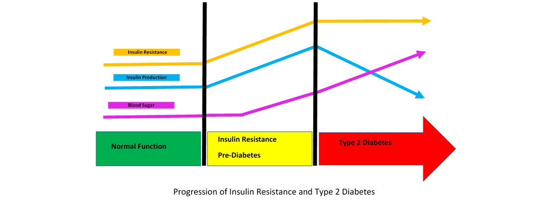 Insulin Resistance Diagram from Express Lab.