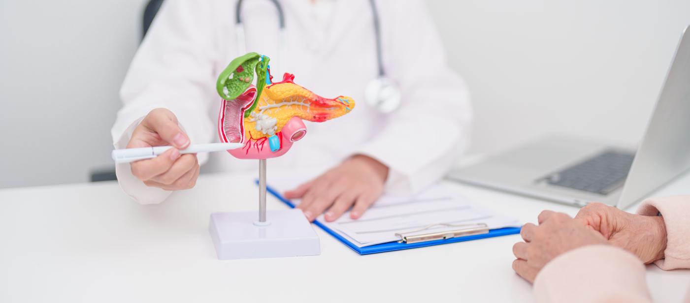 Medical lab for gastrointestinal testing concept: A gastrointestinal doctor with a human anatomy model explaining the medical lab results with a patient.