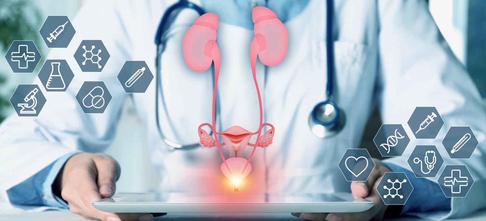 Medical laboratory for urology subspecialty doctors in Idaho